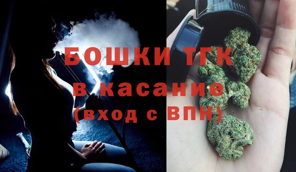сатива Абдулино