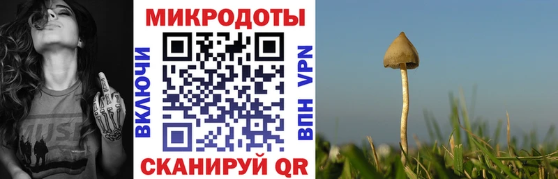 Галлюциногенные грибы Psilocybine cubensis  МЕГА зеркало  Эртиль  купить  сайты 